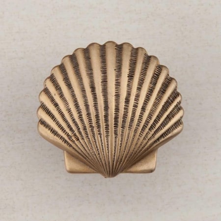 Acorn Mfg Artisan Collection Small Scallop Knob, Museum Gold DPAGP